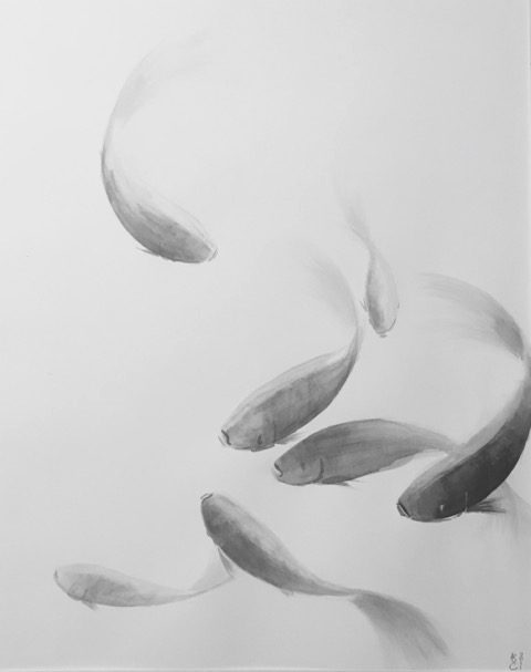 «Poissons»  encre de chine sur papier, 50-65 cm (non disponible)