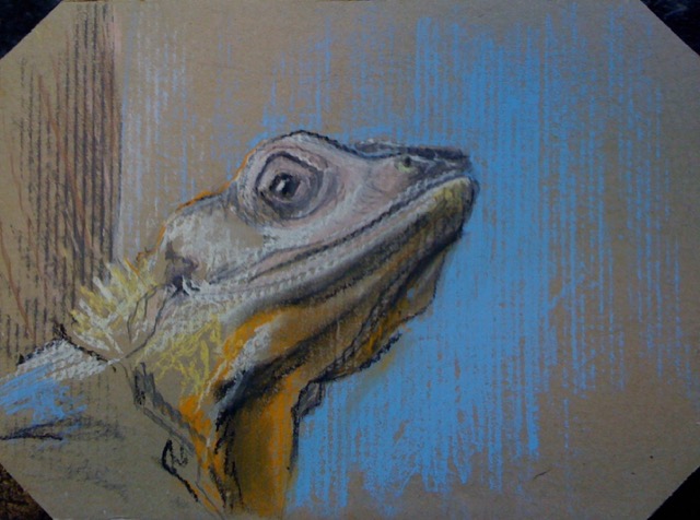 « Lézard » pastels sur carton 20-15 cm