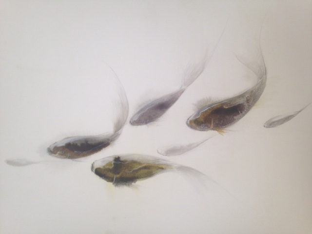 « Poissons » encre de chine crayon et gouache sur papier 54-64 cm