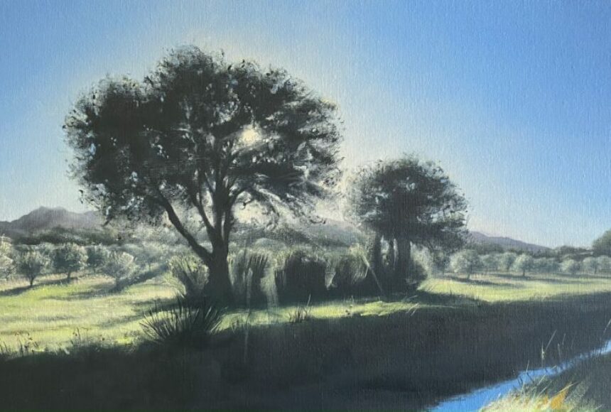 "NOËL A ROMANIN", HUILE SUR TOILE, 40/80cm (NON DISPONIBLE)